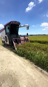 952 reactions · 15 shares | paddy mini harvester  . . . . . . . . . . . #yanmar #miniharvester #agriculture #yanmarharvester #farming #agriculturemachinery #riceharvester | 혽홡홪홚 혾홝홚홢홥 | Facebook