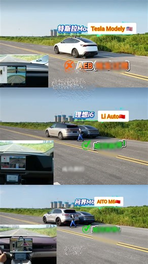 The Ultimate EV Safety Test: Tesla vs. Chinese Giants! 🚗💨 #Short