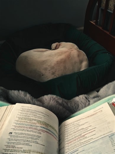 Happy Monday Morning with Jesus and Bible Inspiration