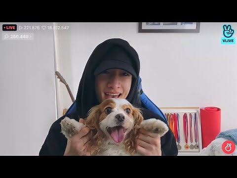 Bang Chan and Berry being adorable for 12 minutes (Chan's Room 🐺 Ep. 172)