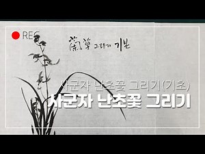 Drawing the Four Gentlemen Orchid