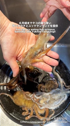 Okayama gourmet: Eating live seafood octopus