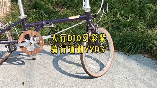 英伦风幻彩紫D10骑行！有范通勤就这么简单