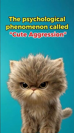 The psychological phenomenon called "Cute Aggression."