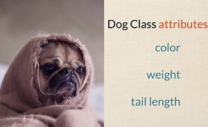 Details of Using Arduino Libraries: Arduino Course 6.4