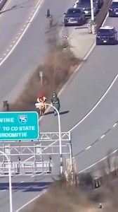 A police chase like no other unfolded on a Pennsylvania highway, officers in hot pursuit of a hot dog and a pickle riding scooters. Eyewitnesses say traffic came to a standstill as the condiments made their getaway 😅 #BreakingNews #Pennsylvania #FunnyVideo #ViralReels #PoliceChase #weirdnews | Mich Branrri