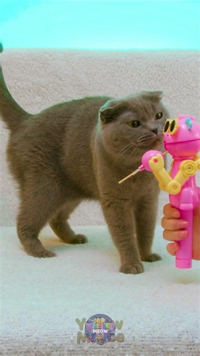 Purr-fect Gadget for Treat Time? 🐾😻✨ Innovative Pet Helper!