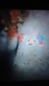 Wishbone Funding Credits