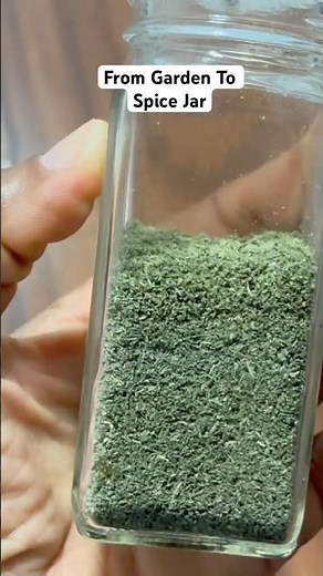 I Made My Own Rosemary Seasoning! #gardening #diygarden #rosemary