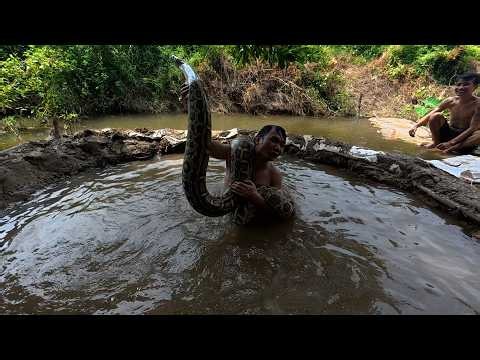 Terrifying Giant Python Stalks Woman Alone in the Jungle | Realistic Snake Attack Survival