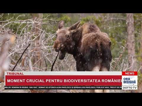 MOMENT CRUCIAL PENTRU BIODIVERSITATEA ROMÂNIEI