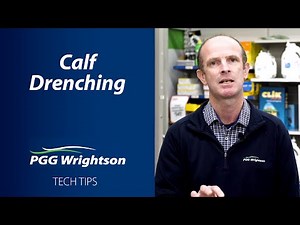 Calf Drenching | PGG Wrightson Tech Tips
