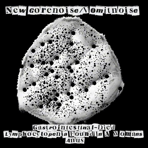 New Gorenoise/Vomitnoise! Name of it: Gastrointestinal-Died Lymphocytopenia Found In A Womans Anus