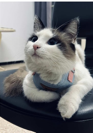 First Time on a Roller Coaster: Zina's Experience