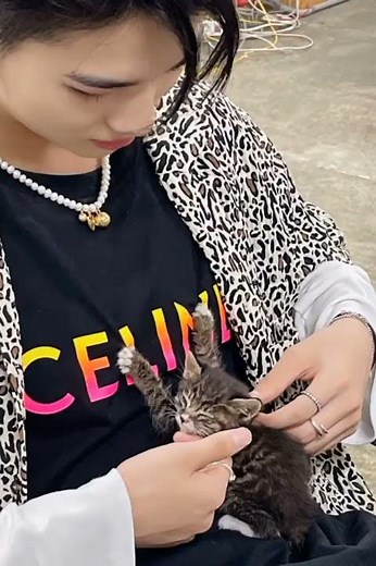 Niki and his baby kitten are the cutest thing ever?!!! 😭❤️✨ #enhypen #niki