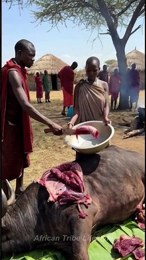 Inside a Maasai Buffalo Cooking Day | Cultural Feast