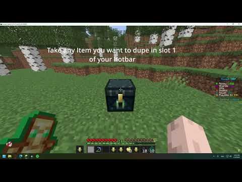 DonutSMP Fabric Dupe Mod - Setup and Guide (Working 1.21.11)