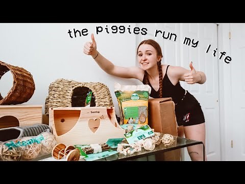 cleaning the guinea pig cages + a huge haul!