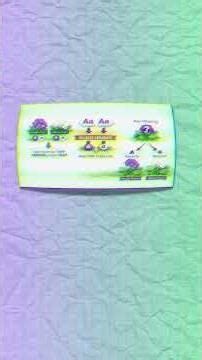 What Are the Laws of Inheritance?