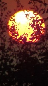 293K views · 14 reactions | Días largos, noches inolvidables y el outfit perfecto para cada momento. Descubre la colección y encuentra tu outfit perfecto | Abercrombie & Fitch | Facebook