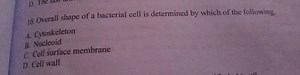 10. Overall shape of a bacterial cell is determined by which of... | Filo