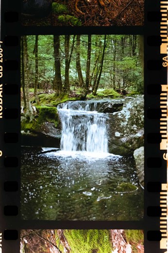 Scanning Film: Control in Wedding Photography