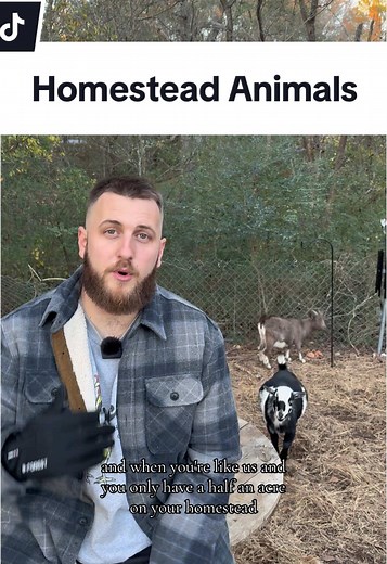 All Your Homestead Animals in One Space: An Overview