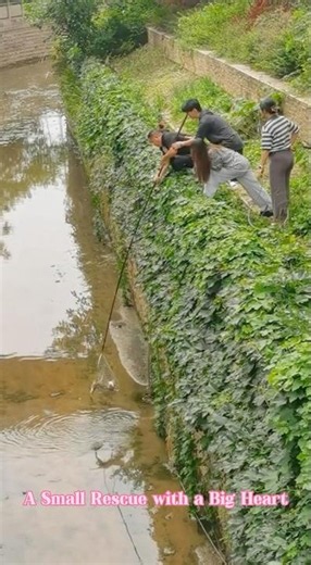 🐈 River Rescue: Saving a Trapped Cat!