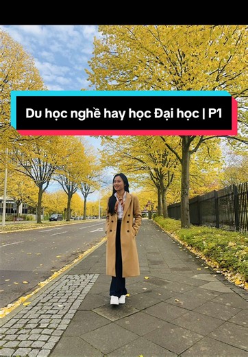 Điều khác biệt giữa du học nghề và đại học tại Đức