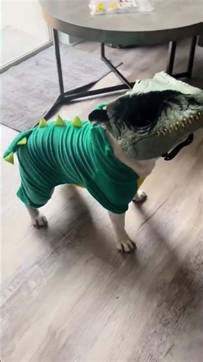Dog Turns T-Rex! Hilarious Dino Mask Transformation! #animals #viral #shorts #dog #doglover