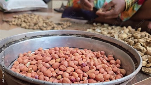 Unshelling peanuts involves cracking the hard outer pod to release the edible kernels inside. This can be done manually by hand, collecting the raw nuts in a bowl while discarding the empty shells nea