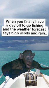 21K views · 77 reactions | It's even worse when you're seasick.... #fishingaddiction #markberg #markbergsfishingaddiction #aussieaswilson #fishingaustralia | Mark Berg's Fishing Addiction | Facebook