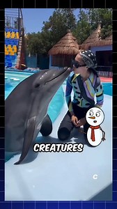 Most cute and friendliest Sea creatures in the world #reelsviralシ #reelsfypシ #fypシ #instagood #instagram #Ohio #art #short #animales | Mundo curioso