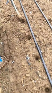 4K views · 16 reactions | Maize Planting Technique #maizefarming #maize #agricultura #agricultureworldwide | Livestock Farmer | Facebook