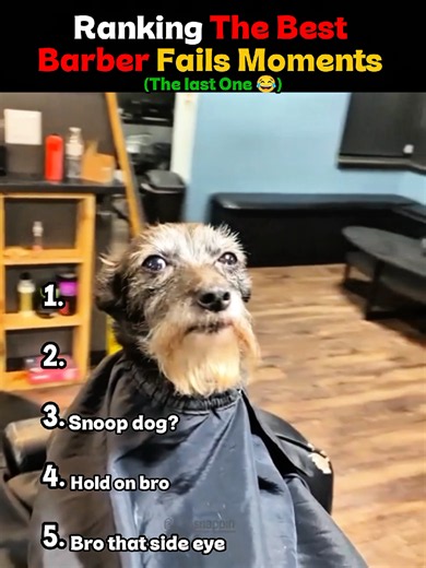 Best Barber Fails Ranked: Top 5 Funny Haircut Moments