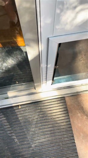 Bud Uses Doggy Door #puppy #funny #doglife