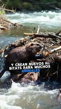 10 fun facts you didn't know 🌎 🤓 🧠 ⌚️