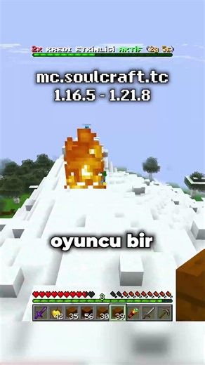 MİNECRAFT SANIRIM BİR SAPIĞIM VAR!?! ⛏️💎