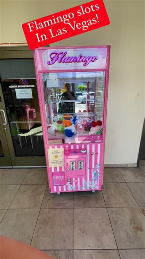 1.8K views | Have you tried the flamingo slot machines in Las Vegas?!? | Big Win Winter on FB | Facebook