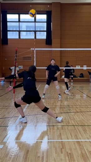 Risako Saito / 齋藤 里紗子 on Instagram: "・ GOLD STARS 八王子🏐 💪risako✖️hono💪 本気で打って本気で上げる！！ サポーター様 HAMC釧路動物病院 studio gordes Elevia Azzurro plus合同会社 株式会社Asian Bridge 株式会社アイドマ・ホールディングス #goldstars #volley #volleyball #八王子 #東京 #バレー #バレーボール #sport #goldstars八王子 #ハイキュー #排球 #🏐 #tokyo #japan #good #nice #sportsbank #スポーツバンク #AsianBridge"