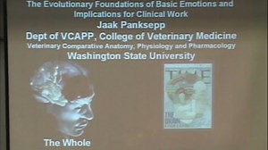 The Relational Brain - Nature and Nuture