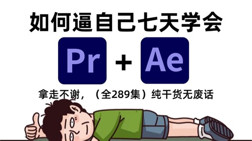 【全289集】七天带你学会PR视频剪辑/AE特效/MG动画教程！从零开始学剪辑（2025新手入门实用版）