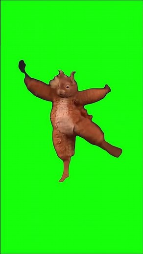 Squirrel Ballet Dancing | Green Screen #ballet #girlythings #dancing #squirrels #beingsilly #silly