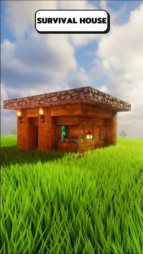 Minecraft survival house #shorts #minecraft #gaming