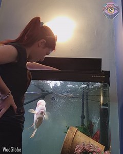 Pet fish doesn't want to be touched | Bright Side