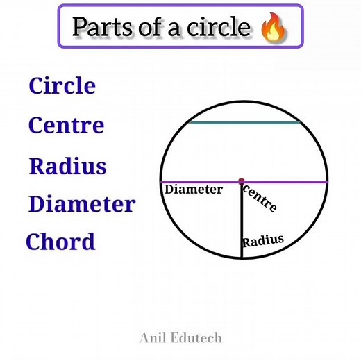 Parts of Circle in 10 Seconds 🤯 | Learn All Terms Instantly! #partsofcircle #circle #geometry #sub