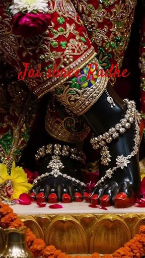 Jai shree radhe Krishna Radhe Radhe ✨🙏🙏🌷🌷🙏