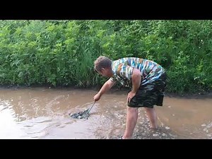 Комедия щитни 2