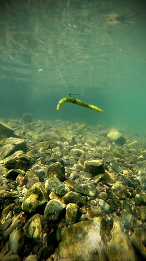 4.2K views · 490 reactions | Amigos! En este video les compartimos...