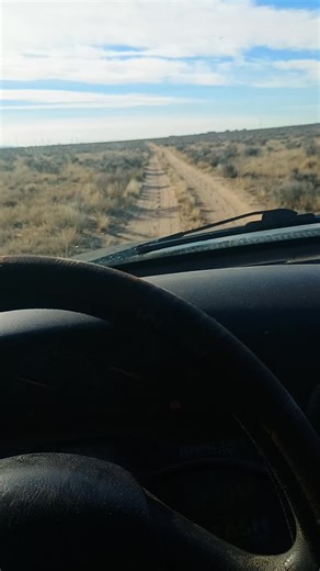 Exploring Alien Theories: Lizard People and Area 51